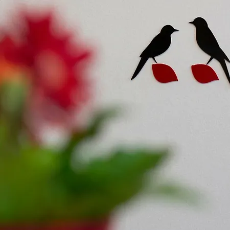 Διαμέρισμα Grand Bijoux *